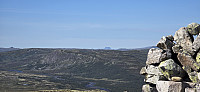 JoSo_20240816_66bfa427ccc26.jpg