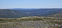 JoSo_20240816_66bfa428bfa9f.jpg