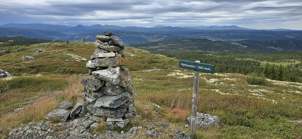 Mjeltsnatten