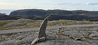 JoSo_20240828_66cf8b3d0d885.jpg