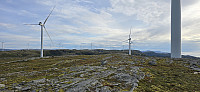 JoSo_20240828_66cf8b410eb56.jpg