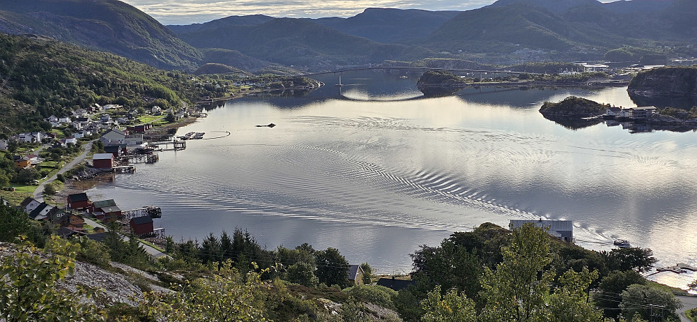 Harsvika