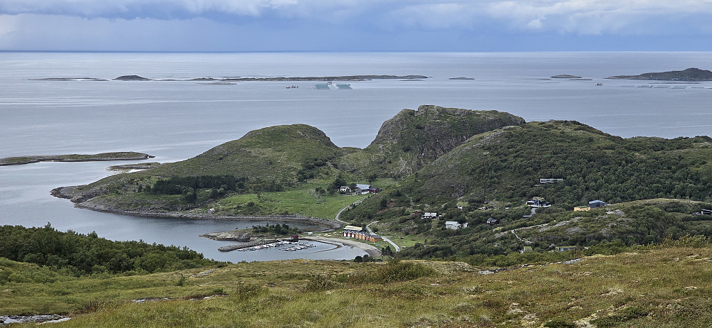 Hosnavika