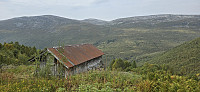 JoSo_20240909_66df123c1ba5a.jpg