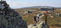 JoSo_20240909_66df1da36b3e7.jpg