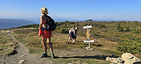 JoSo_20240909_66df1ded4b882.jpg