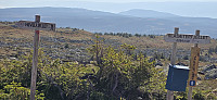 JoSo_20240909_66df1dee7e8bb.jpg
