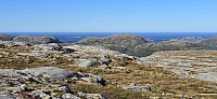 JoSo_20240916_66e80a5aadb64.jpg