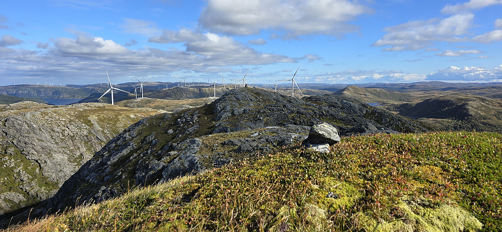 Bilde fra Svartholheia