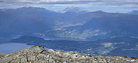 JoSo_20240924_66f2d0b672966.jpg