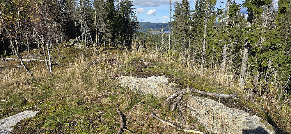 Branntjernhøgda