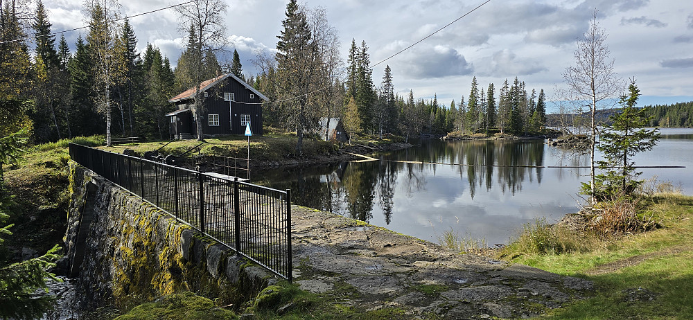 Katnosdammen