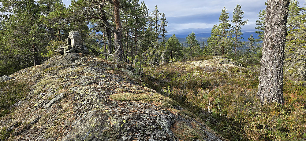 Rudskollen