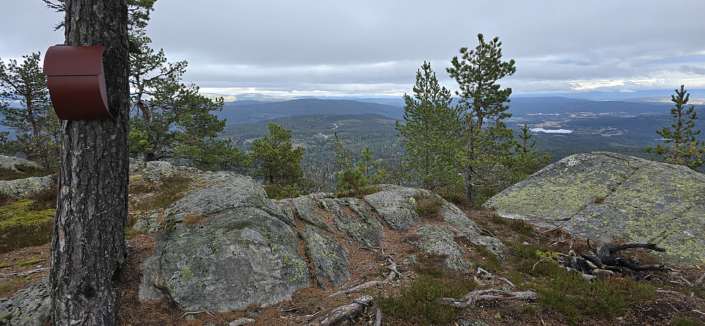 Høgnipa