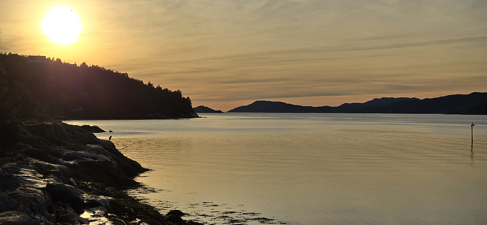 Råkvåg