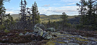 JoSo_20241027_671df20db6a65.jpg