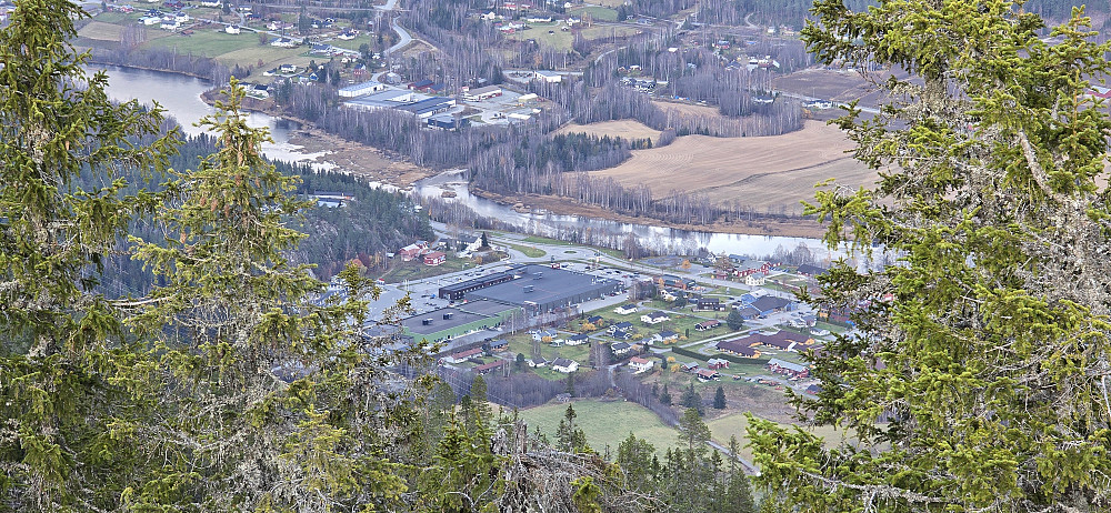Flå sentrum