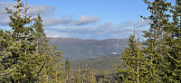JoSo_20241110_67308d578b55b.jpg