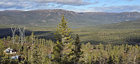 JoSo_20241110_67308d59d6ac5.jpg