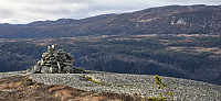 JoSo_20241110_67311a0d6ba00.jpg