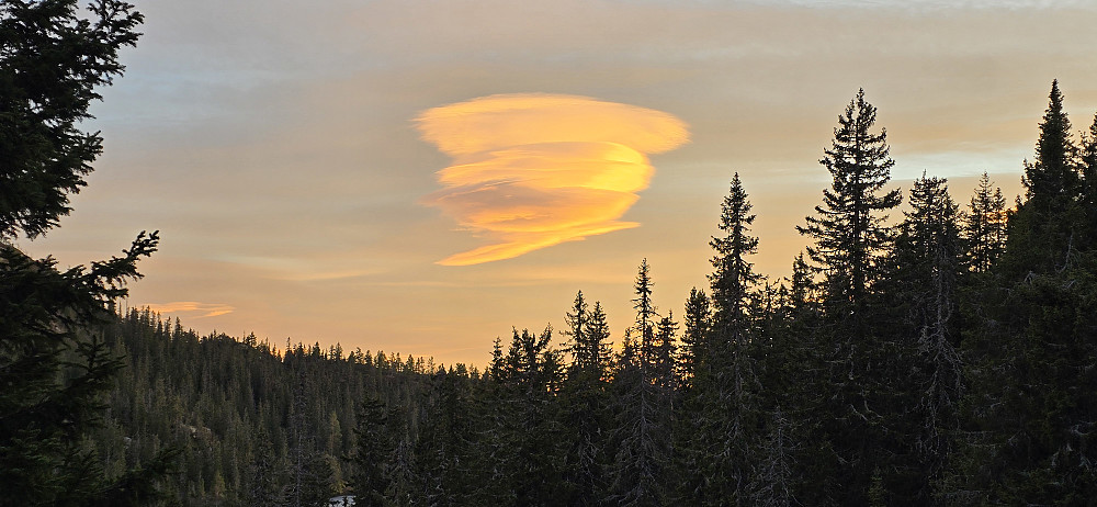 Flott sky :)