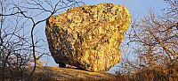 JoSo_20241110_67311f82199a9.jpg