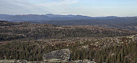 JoSo_20241110_6731314664ff2.jpg