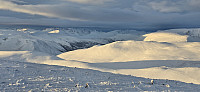 JoSo_20241214_675cbd2b2a5f6.jpg