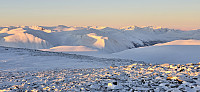 JoSo_20250102_67769255e9d50.jpg