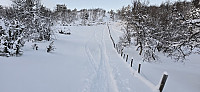 JoSo_20250102_67769ba8af64a.jpg