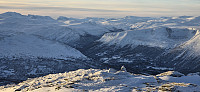 JoSo_20250105_677a98f483bf7.jpg