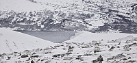 JoSo_20250107_677d331bef6bc.jpg