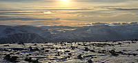 JoSo_20250116_678914998d553.jpg
