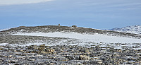 JoSo_20250120_678eb3428f897.jpg
