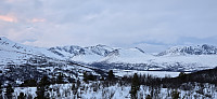 JoSo_20250125_6795617dd6c41.jpg