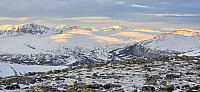 JoSo_20250129_679a7398a42ba.jpg