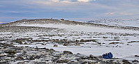 JoSo_20250129_679a7399ac7d0.jpg