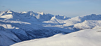 JoSo_20250129_679a78c864909.jpg