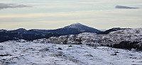 JoSo_20250203_67a1439f779cc.jpg