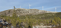 JoSo_20250210_67a93538c79d7.jpg