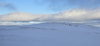 JoSo_20250210_67a93773b9bf4.jpg
