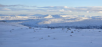 JoSo_20250210_67a9377478cdf.jpg