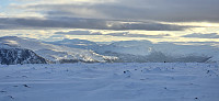 JoSo_20250210_67a937754fb27.jpg