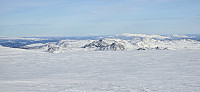 JoSo_20250220_67b7364a30c31.jpg