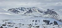 JoSo_20250301_67c30d7e4869d.jpg