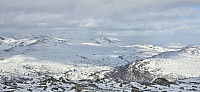 JoSo_20250301_67c30d7f2b963.jpg