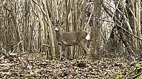 JoSo_20250309_67ce1a76b4964.jpg
