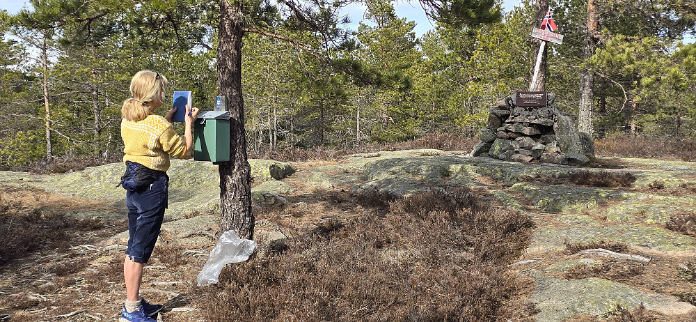 Østre Vealøs