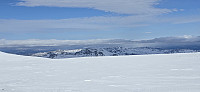 JoSo_20250406_67f285df04c3e.jpg