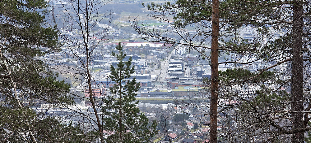 Glimt av Førde fra Gravdalsholten